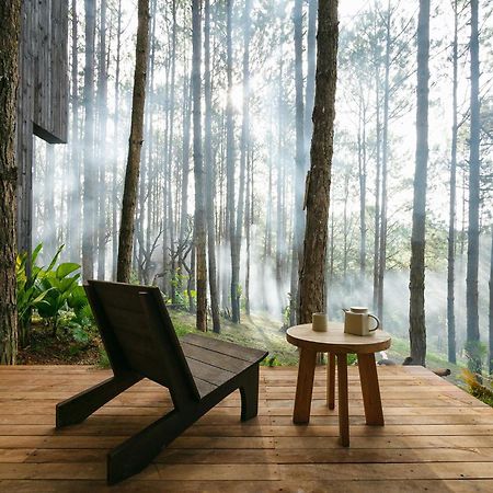 Mo Stay - Forest Resort Dalat Eksteriør bilde