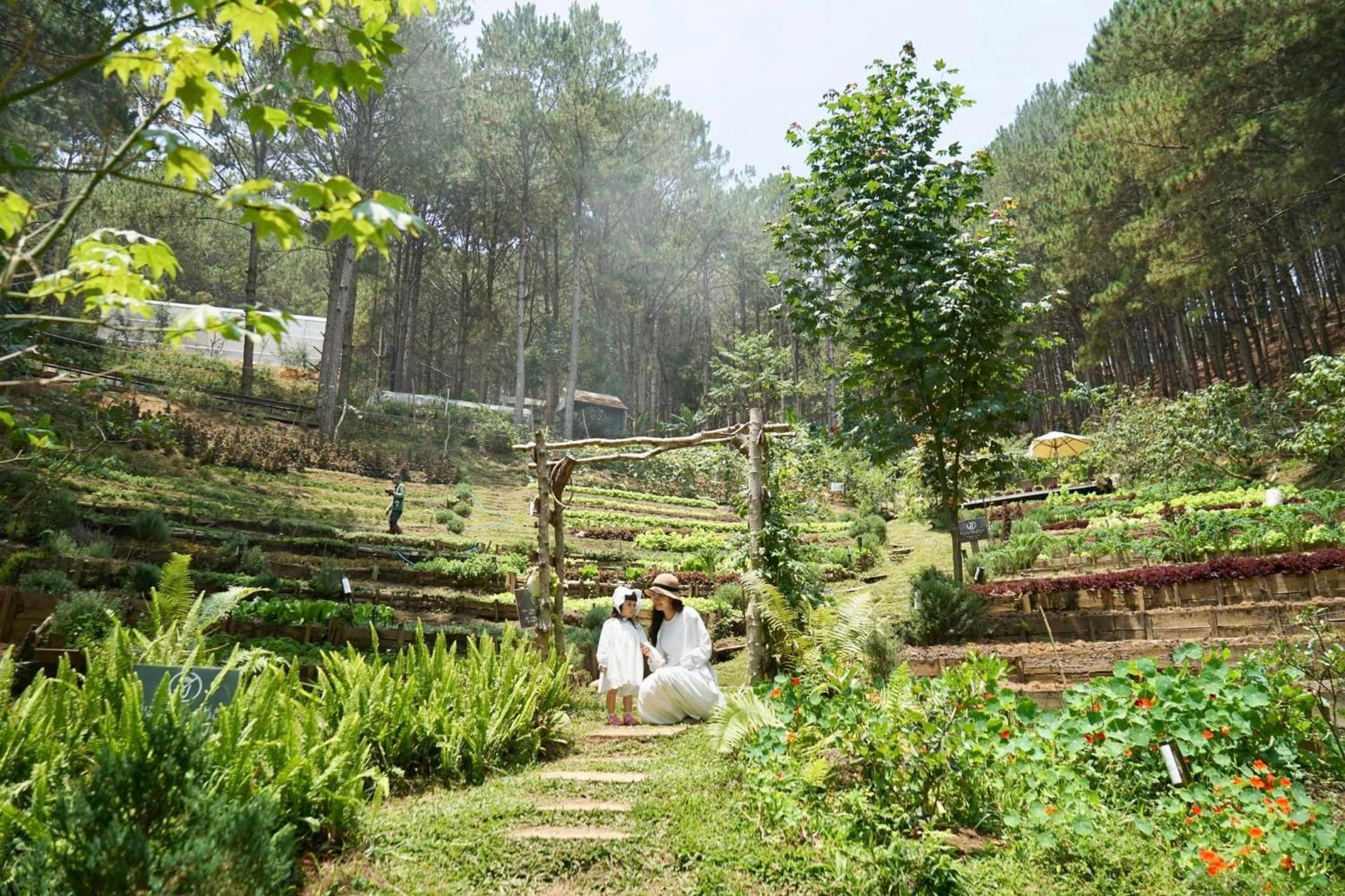 Mo Stay - Forest Resort Dalat Eksteriør bilde