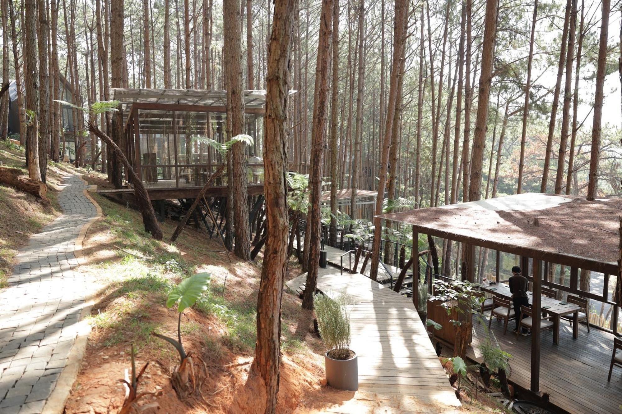 Mo Stay - Forest Resort Dalat Eksteriør bilde