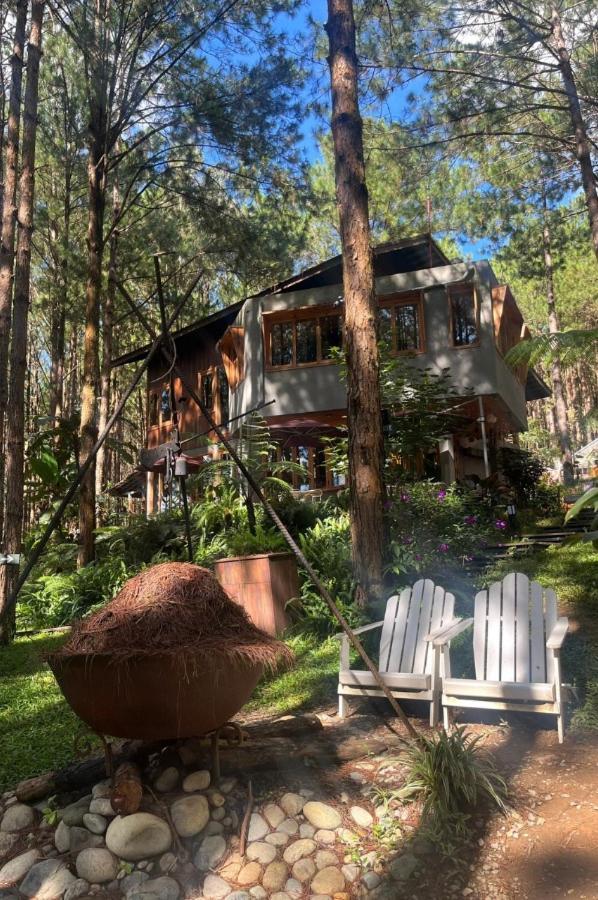 Mo Stay - Forest Resort Dalat Eksteriør bilde