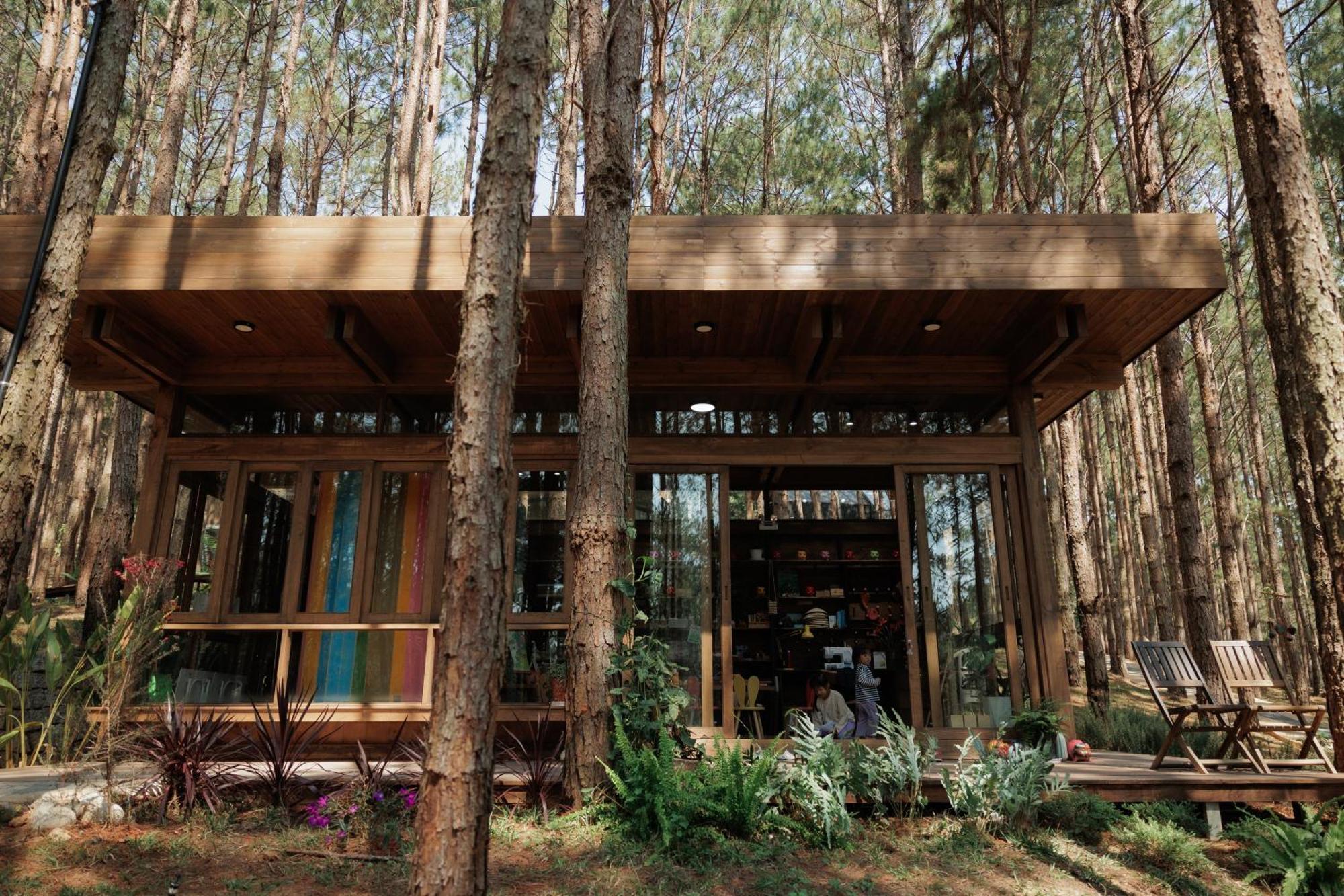 Mo Stay - Forest Resort Dalat Eksteriør bilde