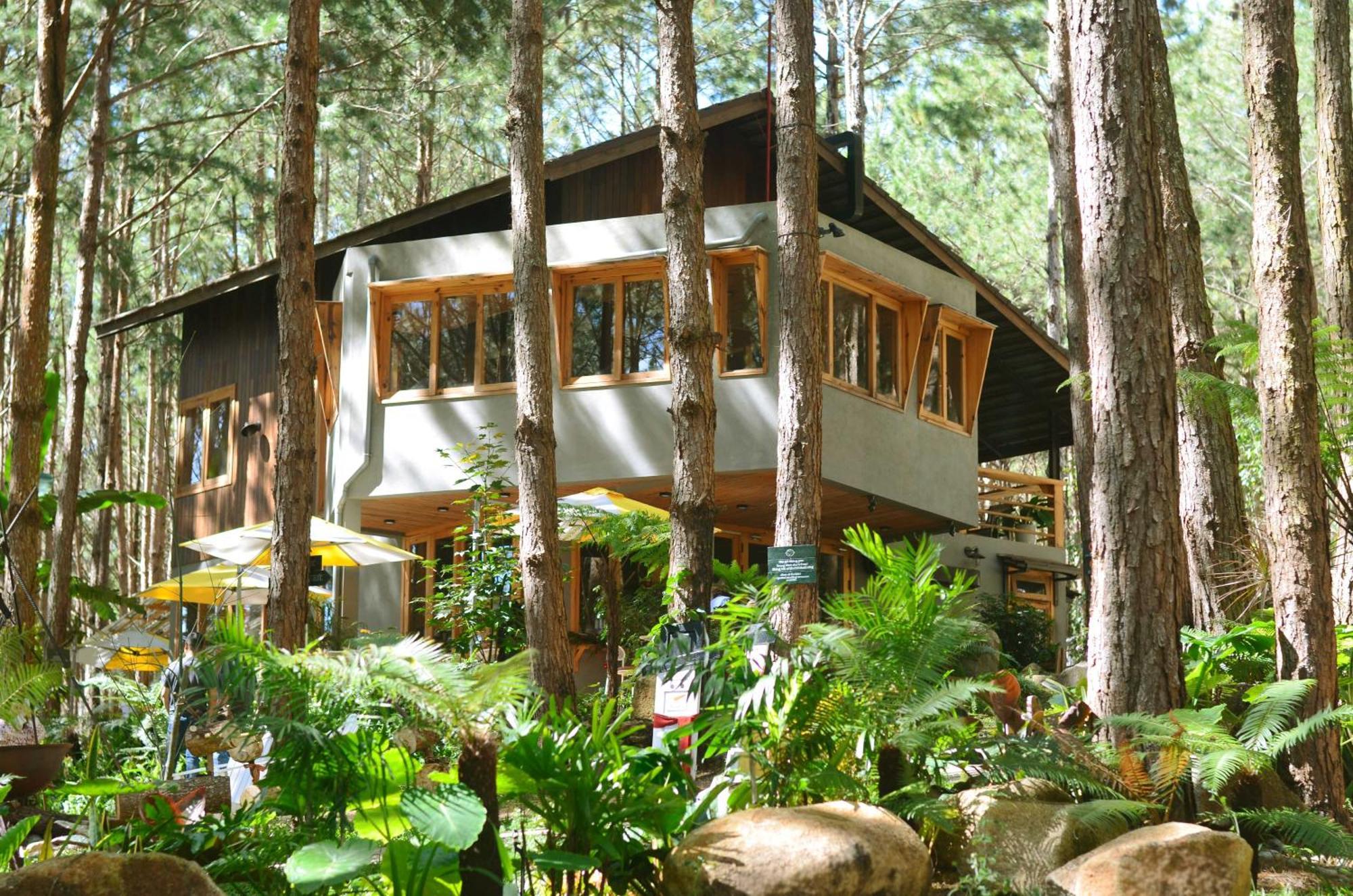 Mo Stay - Forest Resort Dalat Eksteriør bilde
