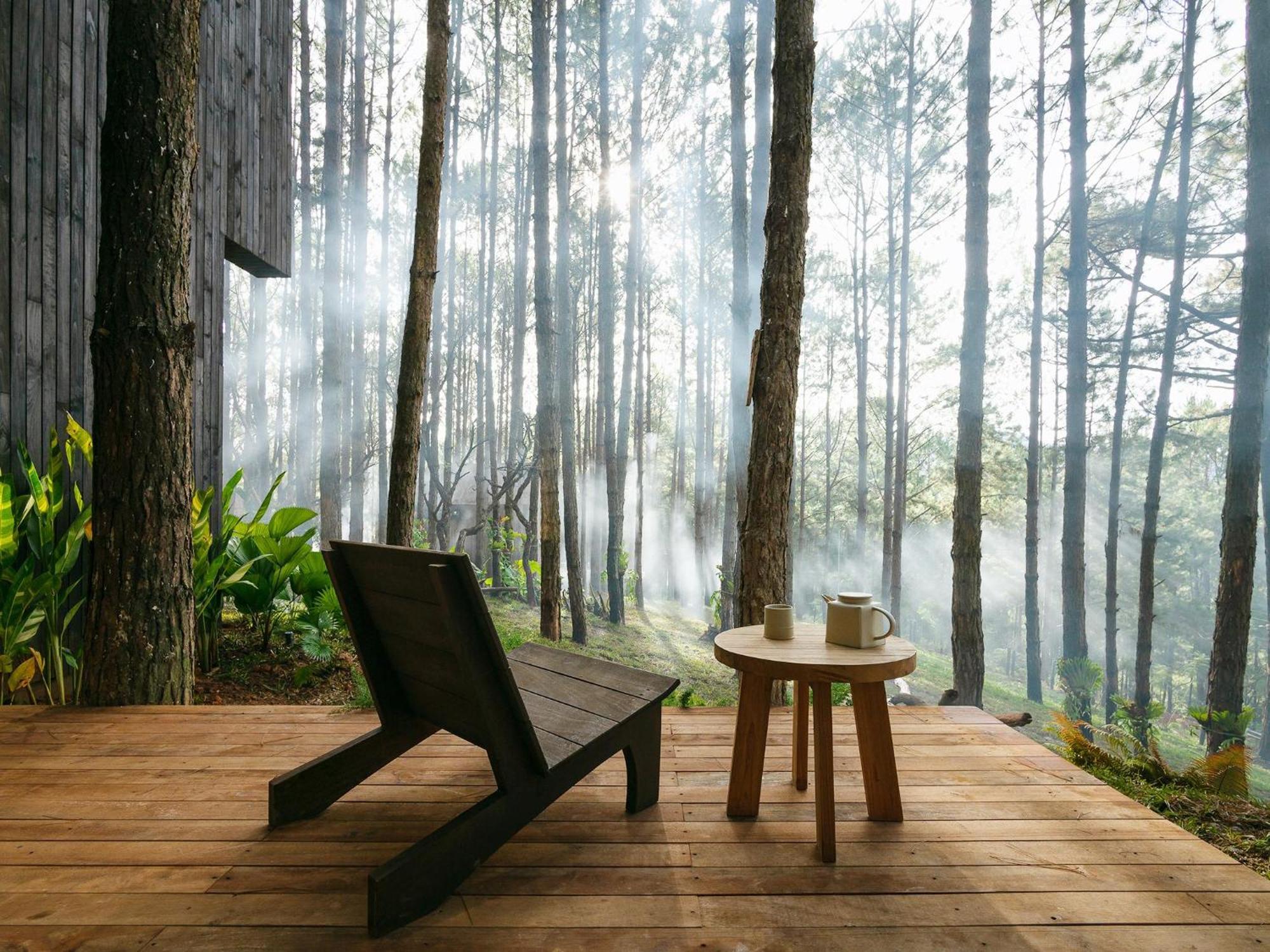 Mo Stay - Forest Resort Dalat Eksteriør bilde