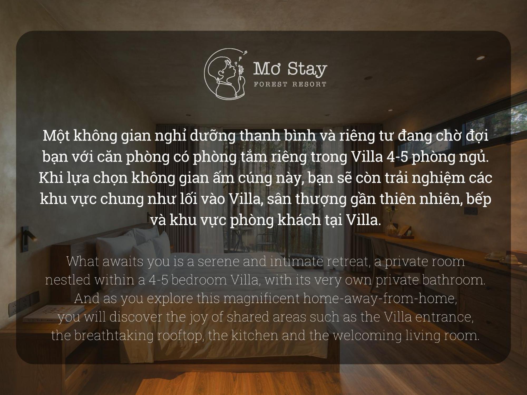 Mo Stay - Forest Resort Dalat Eksteriør bilde