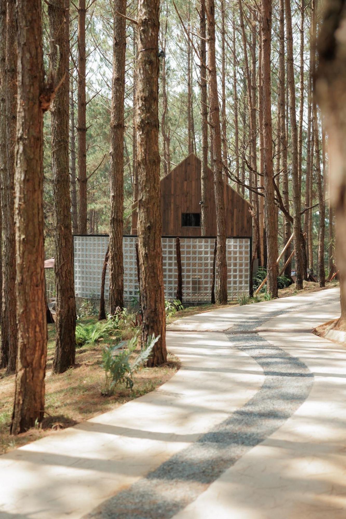Mo Stay - Forest Resort Dalat Eksteriør bilde