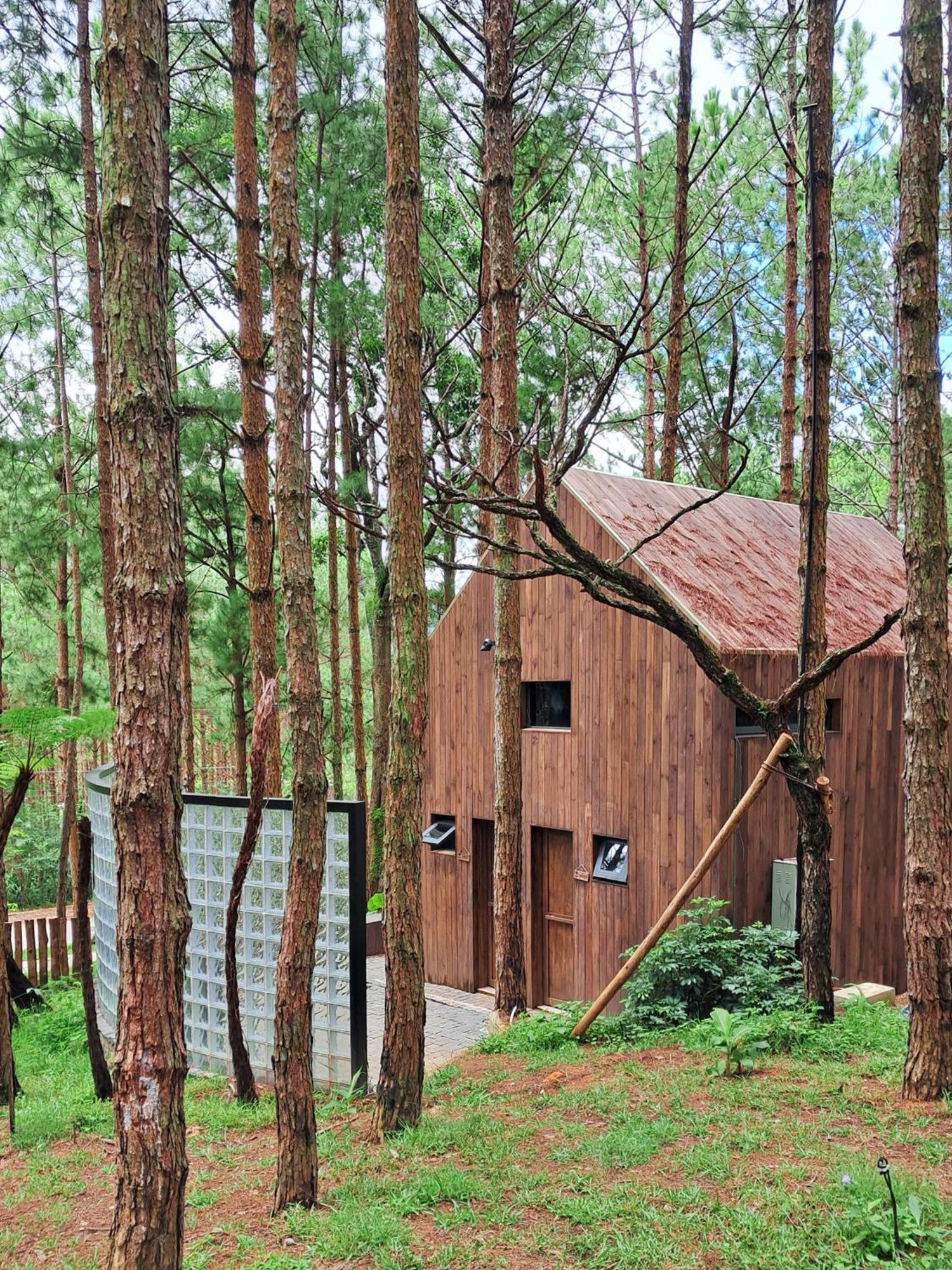 Mo Stay - Forest Resort Dalat Eksteriør bilde