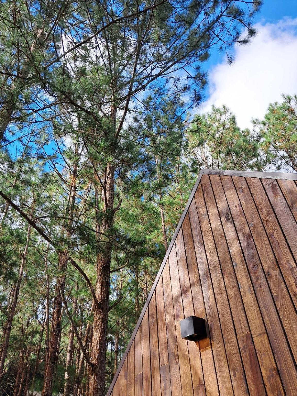 Mo Stay - Forest Resort Dalat Eksteriør bilde